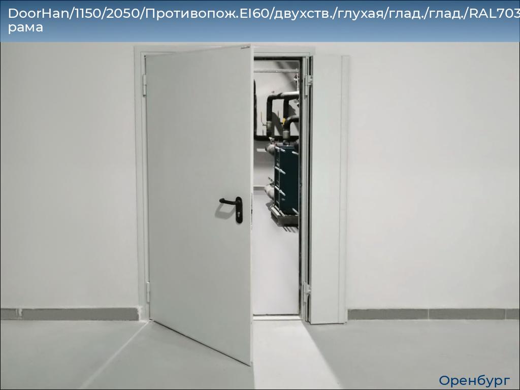 DoorHan/1150/2050/Противопож.EI60/двухств./глухая/глад./глад./RAL7035/лев./угл. рама, orenburg.doorhan.ru